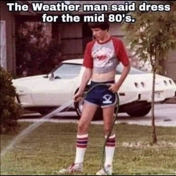 Meet your Posher, Abby - Picture 2 of 2